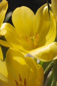 151****2994的钢琴谱