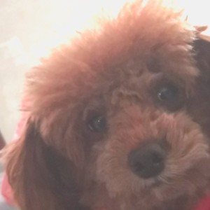 張永懿的個人空間