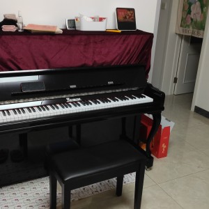 梦中的婚礼的演奏视频