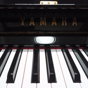 童话镇的演奏视频