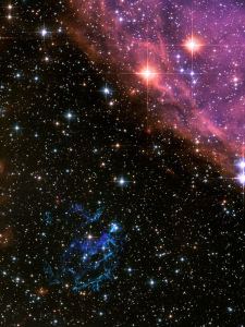 可爱的小狗狗🐶,的个人空间