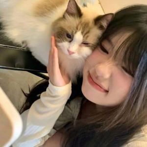 💓的钢琴谱