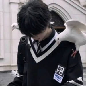 玖少