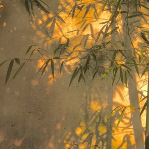 181****5726的钢琴谱