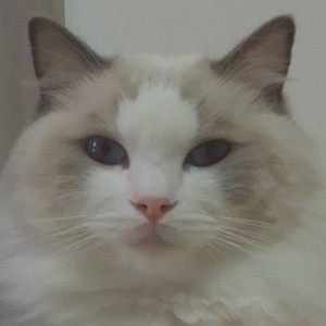 贝贝回来啦! 小贝  虫大😘的个人空间