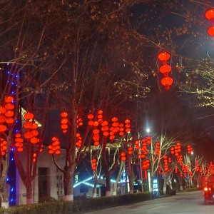 madam的钢琴谱