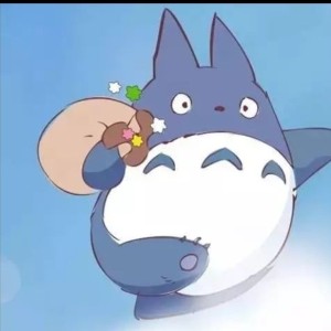 的演奏视频