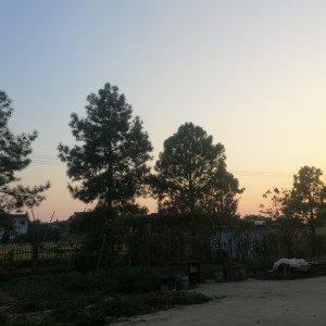 小可爱的钢琴谱