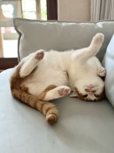 水一匀的钢琴谱