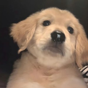 不冬眠的演奏视频