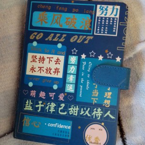 梦中的婚礼的演奏视频