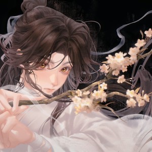 悲花之文的钢琴谱