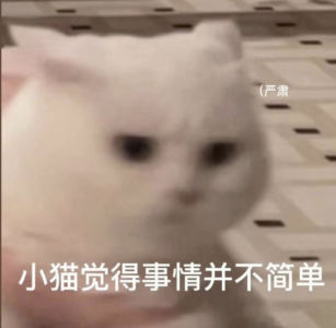 天貓精靈的個人空間