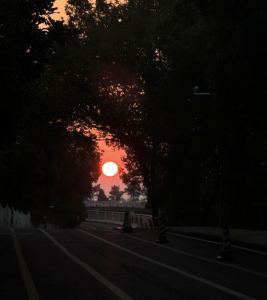 Passacaglia的演奏视频