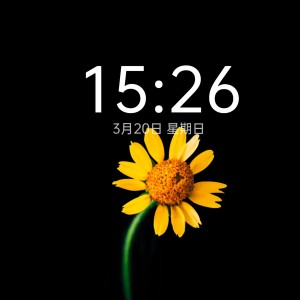 173****1297的个人空间