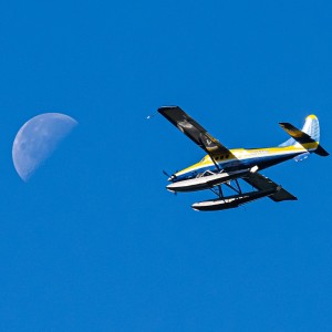 九天万岁的钢琴谱