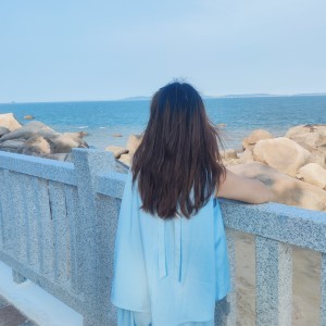 鸽子的钢琴谱