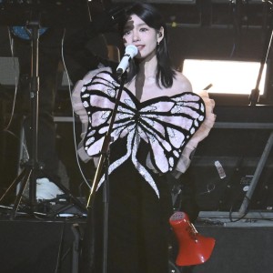 圣诞结的演奏视频