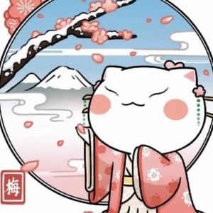 梅花的钢琴谱