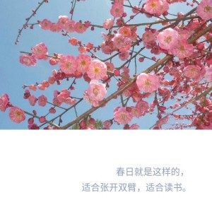 不如睡觉的钢琴谱