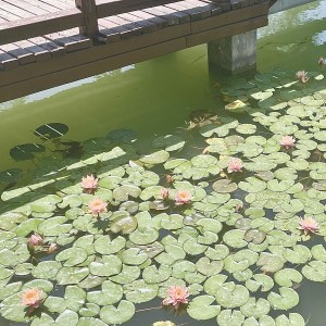 泸州