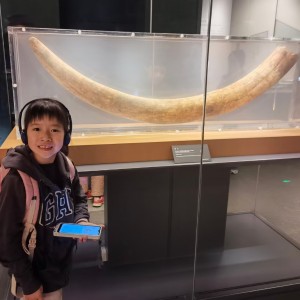 黄芯语         练琴人的个人空间