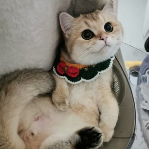 150****0166林的個人空間