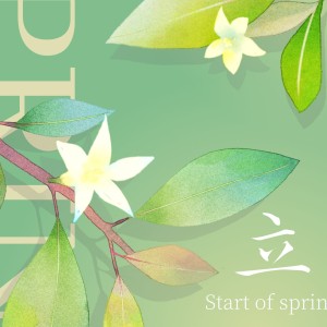 行走的炸蛋的个人空间