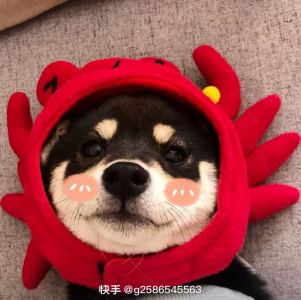 132****6900的钢琴谱
