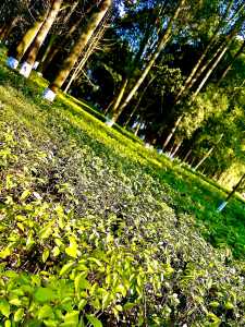 133****0086的個人空間