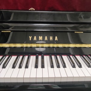 小飞羊的钢琴谱