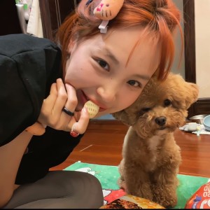 不愿静静打架的大饼的钢琴谱