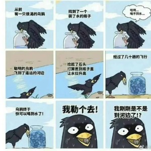 的演奏视频
