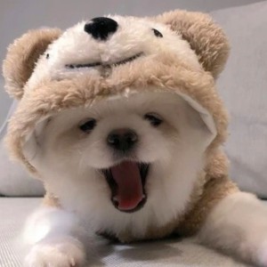 178****0233的钢琴谱