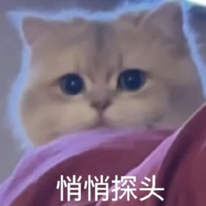 137****8164的钢琴谱