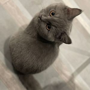 丁芮童的個人空間