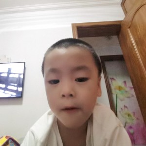 的演奏视频