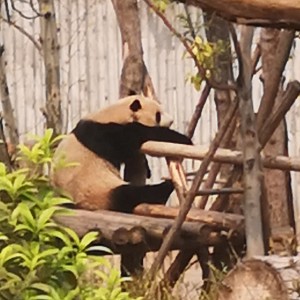 199****3551的钢琴谱