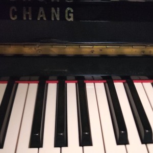 135****0317汪春雁的个人空间