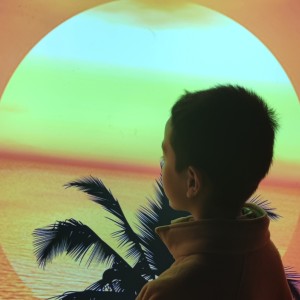 Ocean（宸）的钢琴谱