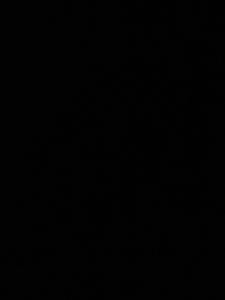 王梓骁的个人空间