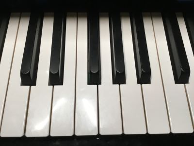 满级piano的个人空间