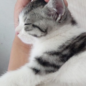 182****3939的钢琴谱