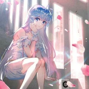 舞蝶的个人空间