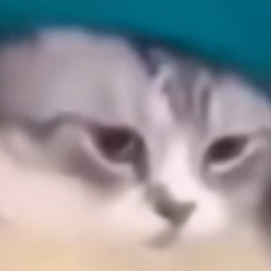 冰尤的种子~休想打扰滑冰的维勇的个人空间