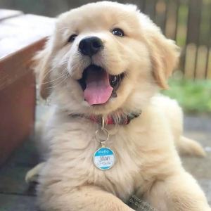 139****2177的钢琴谱