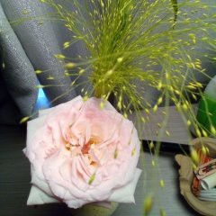 超级大虫虫的钢琴谱