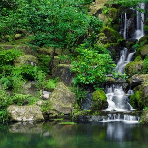 137****0593的钢琴谱