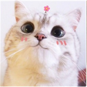 ❦酸៚肆ৡ_虫大™Miao~的个人空间