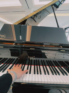 小麦可可豆的个人空间